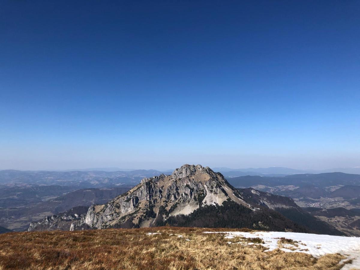 Penzion D+D Zázrivá Exteriör bild